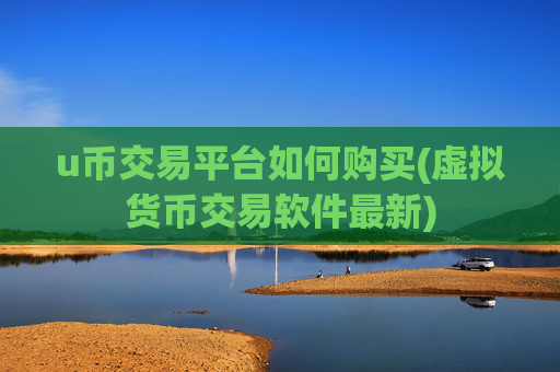 u币交易平台如何购买(虚拟货币交易软件最新)