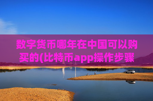 数字货币哪年在中国可以购买的(比特币app操作步骤详解)