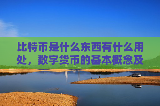 比特币是什么东西有什么用处,数字货币的基本概念及其应用