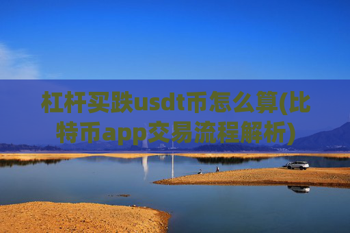 杠杆买跌usdt币怎么算(比特币app交易流程解析)