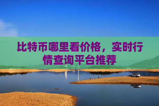 比特币哪里看价格,实时行情查询平台推荐