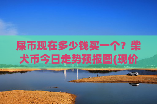 屎币现在多少钱买一个?柴犬币今日走势预报图(现价0.00022766元)