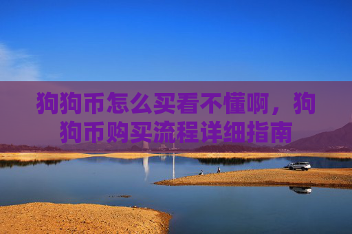 狗狗币怎么买看不懂啊,狗狗币购买流程详细指南