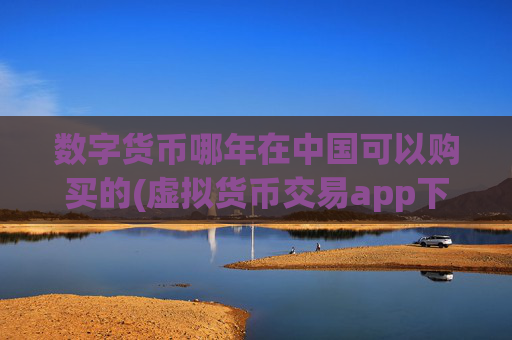 数字货币哪年在中国可以购买的(虚拟货币交易app下载攻略)