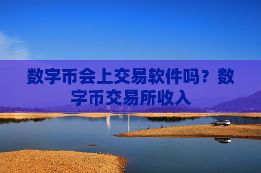 数字币会上交易软件吗？数字币交易所收入