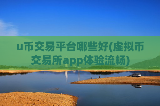 u币交易平台哪些好(虚拟币交易所app体验流畅)