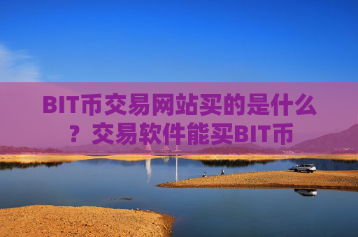 BIT币交易网站买的是什么?交易软件能买BIT币