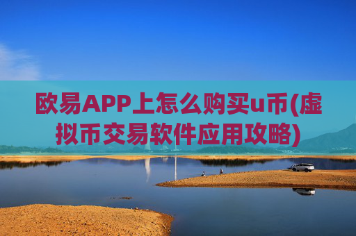 欧易APP上怎么购买u币(虚拟币交易软件应用攻略)