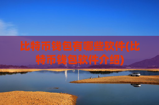 比特币钱包有哪些软件(比特币钱包软件介绍)