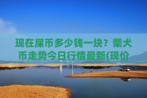 现在屎币多少钱一块？柴犬币走势今日行情最新(现价0.00022797元)