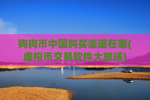 狗狗币中国购买渠道在哪(虚拟币交易软件大放送)