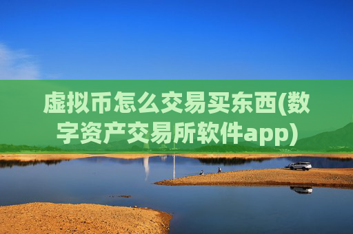 虚拟币怎么交易买东西(数字资产交易所软件app)