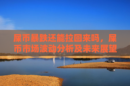 屎币暴跌还能拉回来吗,屎币市场波动分析及未来展望