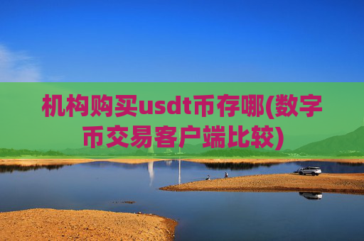 机构购买usdt币存哪(数字币交易客户端比较)