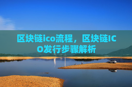 区块链ico流程,区块链ICO发行步骤解析