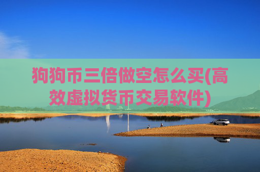 狗狗币三倍做空怎么买(高效虚拟货币交易软件)