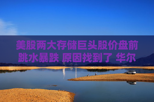 美股两大存储巨头股价盘前跳水暴跌 原因找到了 华尔街“胃口”太苛刻