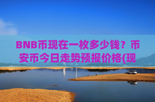BNB币现在一枚多少钱?币安币今日走势预报价格(现价5353.39元)