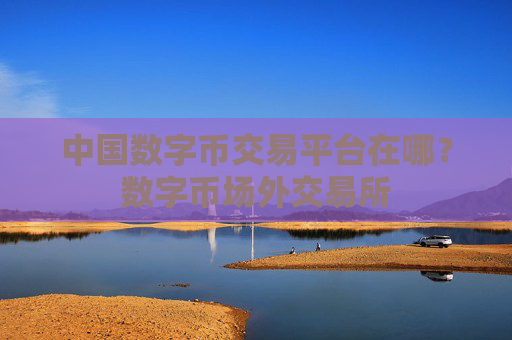 中国数字币交易平台在哪？数字币场外交易所