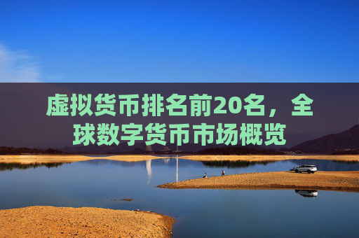 虚拟货币排名前20名,全球数字货币市场概览