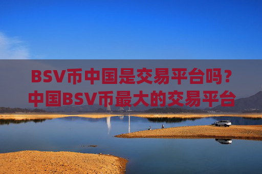 BSV币中国是交易平台吗？中国BSV币最大的交易平台app