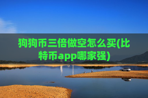 狗狗币三倍做空怎么买(比特币app哪家强)