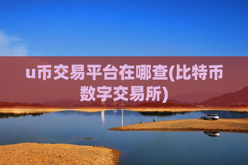 u币交易平台在哪查(比特币数字交易所)
