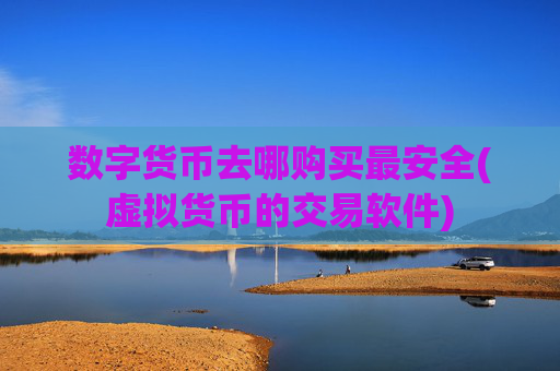 数字货币去哪购买最安全(虚拟货币的交易软件)