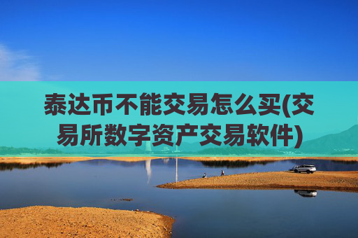 泰达币不能交易怎么买(交易所数字资产交易软件)