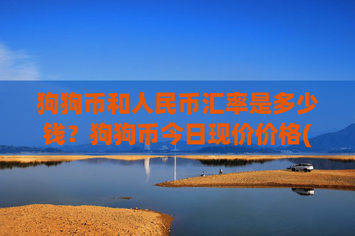狗狗币和人民币汇率是多少钱？狗狗币今日现价价格(现价3.181元)