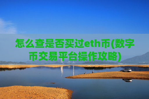 怎么查是否买过eth币(数字币交易平台操作攻略)
