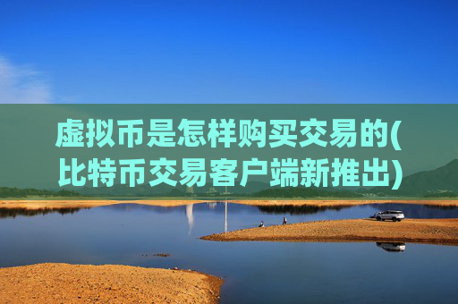 虚拟币是怎样购买交易的(比特币交易客户端新推出)