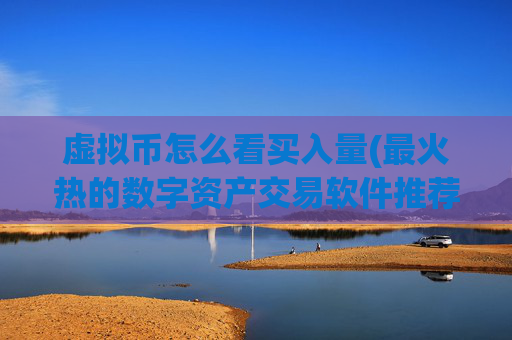 虚拟币怎么看买入量(最火热的数字资产交易软件推荐)