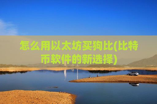 怎么用以太坊买狗比(比特币软件的新选择)