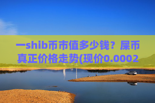 一shib币市值多少钱?屎币真正价格走势(现价0.00023069元)