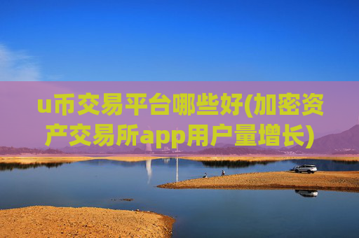 u币交易平台哪些好(加密资产交易所app用户量增长)