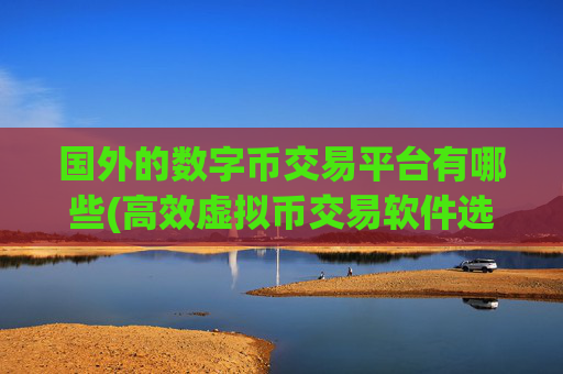 国外的数字币交易平台有哪些(高效虚拟币交易软件选择)