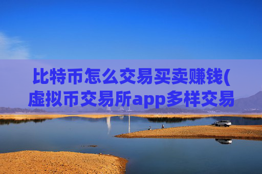 比特币怎么交易买卖赚钱(虚拟币交易所app多样交易选择)