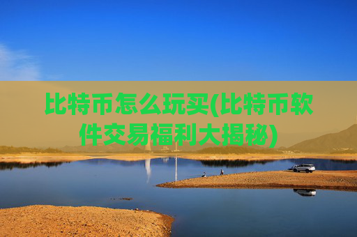 比特币怎么玩买(比特币软件交易福利大揭秘)