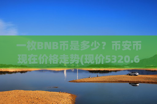 一枚BNB币是多少?币安币现在价格走势(现价5320.6元)