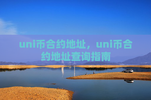uni币合约地址,uni币合约地址查询指南