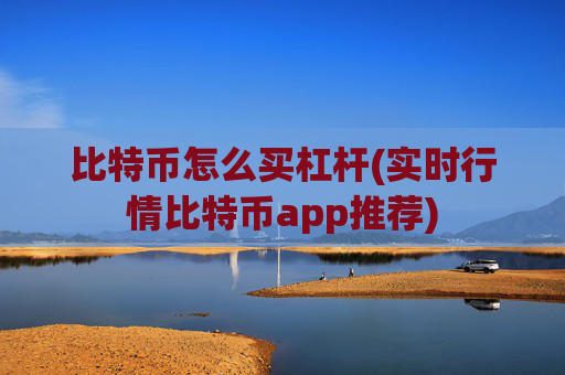 比特币怎么买杠杆(实时行情比特币app推荐)