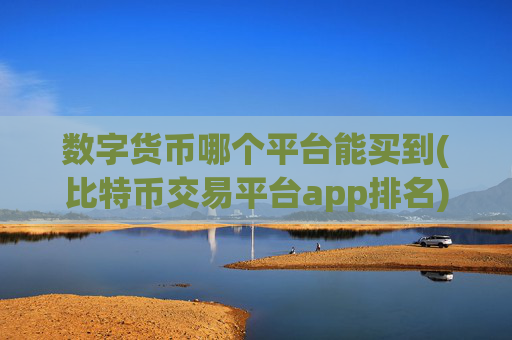 数字货币哪个平台能买到(比特币交易平台app排名)