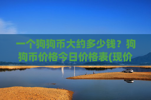 一个狗狗币大约多少钱?狗狗币价格今日价格表(现价3.2335元)
