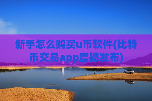 新手怎么购买u币软件(比特币交易app震撼发布)