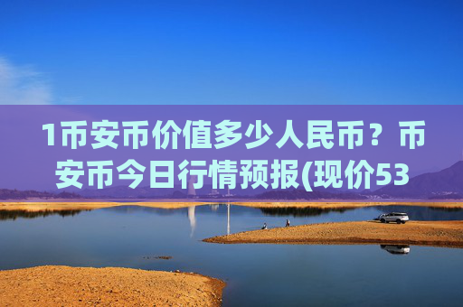 1币安币价值多少人民币？币安币今日行情预报(现价5313.77元)