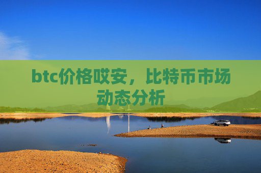 btc价格哎安,比特币市场动态分析
