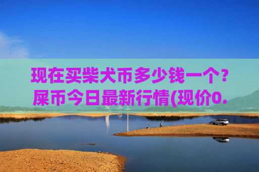现在买柴犬币多少钱一个?屎币今日最新行情(现价0.00015822元)