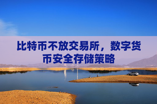 比特币不放交易所,数字货币安全存储策略