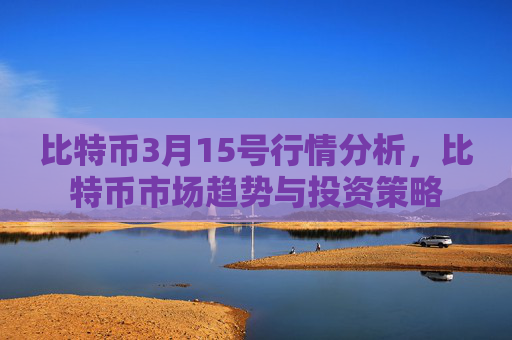 比特币3月15号行情分析，比特币市场趋势与投资策略